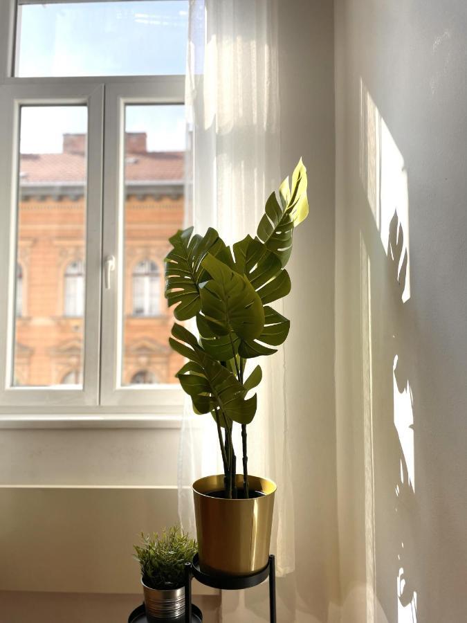 Eotvos 25 Apartment Budapest Exteriör bild