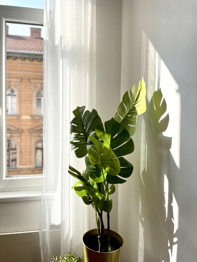 Eotvos 25 Apartment Budapest Exteriör bild